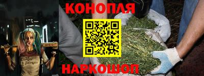 мяу мяу мука Малгобек