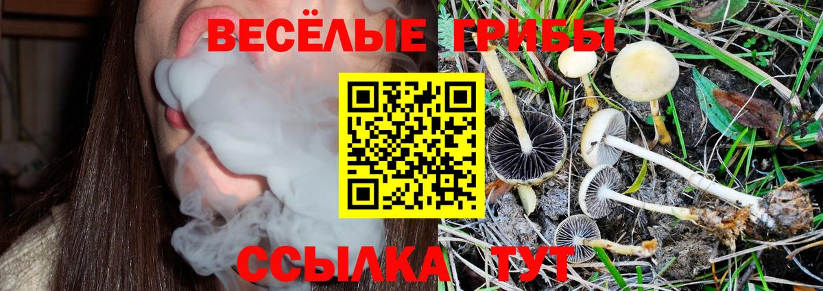 Псилоцибиновые грибы мицелий  Вход с VPN  Владикавказ 