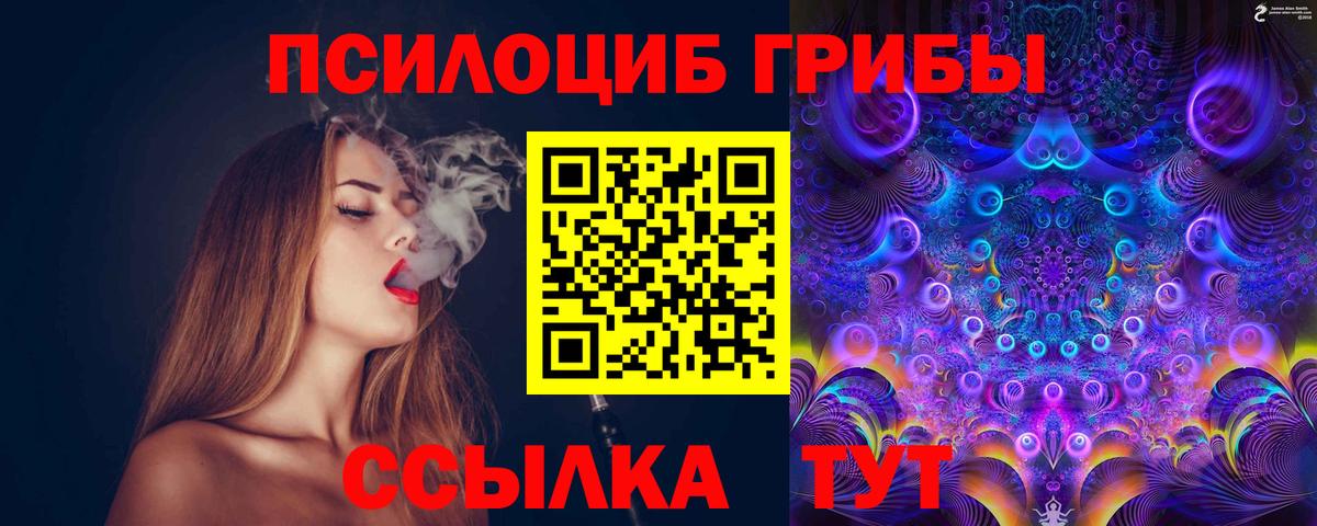 Галлюциногенные грибы Psilocybine cubensis Владикавказ
